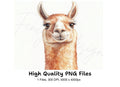 Smiling Llama Head Clipart Bundle