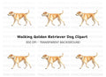 Golden Retriever Dog Clipart Bundle
