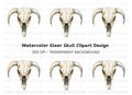 Rustic Cow Skull Illustration Clipart Bundle