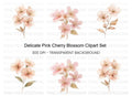 Delicate Pink Cherry Blossom Clipart Bundle