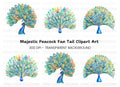 Vibrant Peacock Feather Fan Clipart Bundle