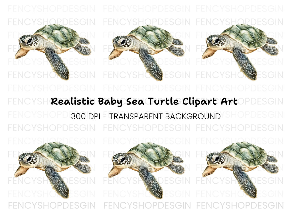 Cute Baby Sea Turtle Clipart Bundle