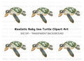 Cute Baby Sea Turtle Clipart Bundle
