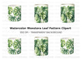 Monstera Leaves Tropical Clipart Bundle