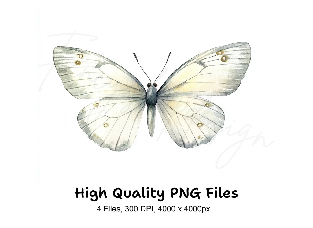 Elegant Butterfly Clipart Bundle