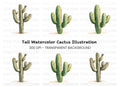 Desert Cactus Illustration Clipart Bundle