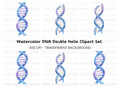Abstract DNA Helix Clipart Bundle