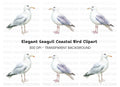 Graceful Seagull Clipart Bundle