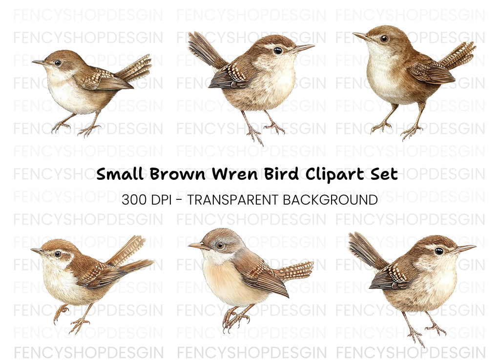 Charming Brown Wren Bird Clipart Bundle