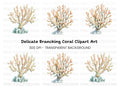 Coral Reef Clipart Bundle