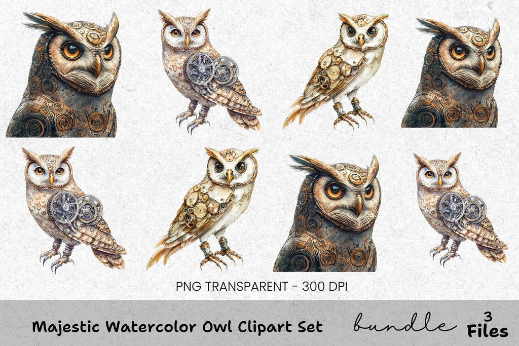 Majestic Owl Clipart Bundle