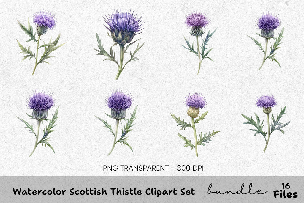 Scottish Thistle Clipart Bundle