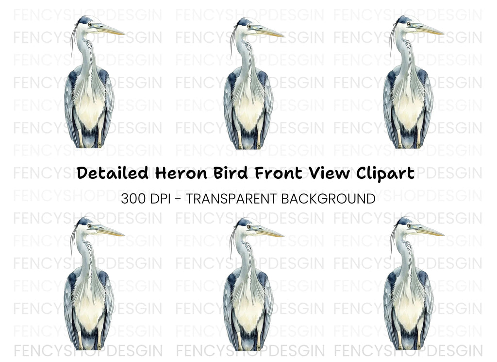 Front Facing Heron Clipart Bundle