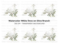 White Dove with Olive Branch Clipart Bundle