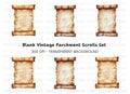 Vintage Scroll Clipart Bundle
