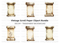 Ornate Floral Scroll Clipart Bundle