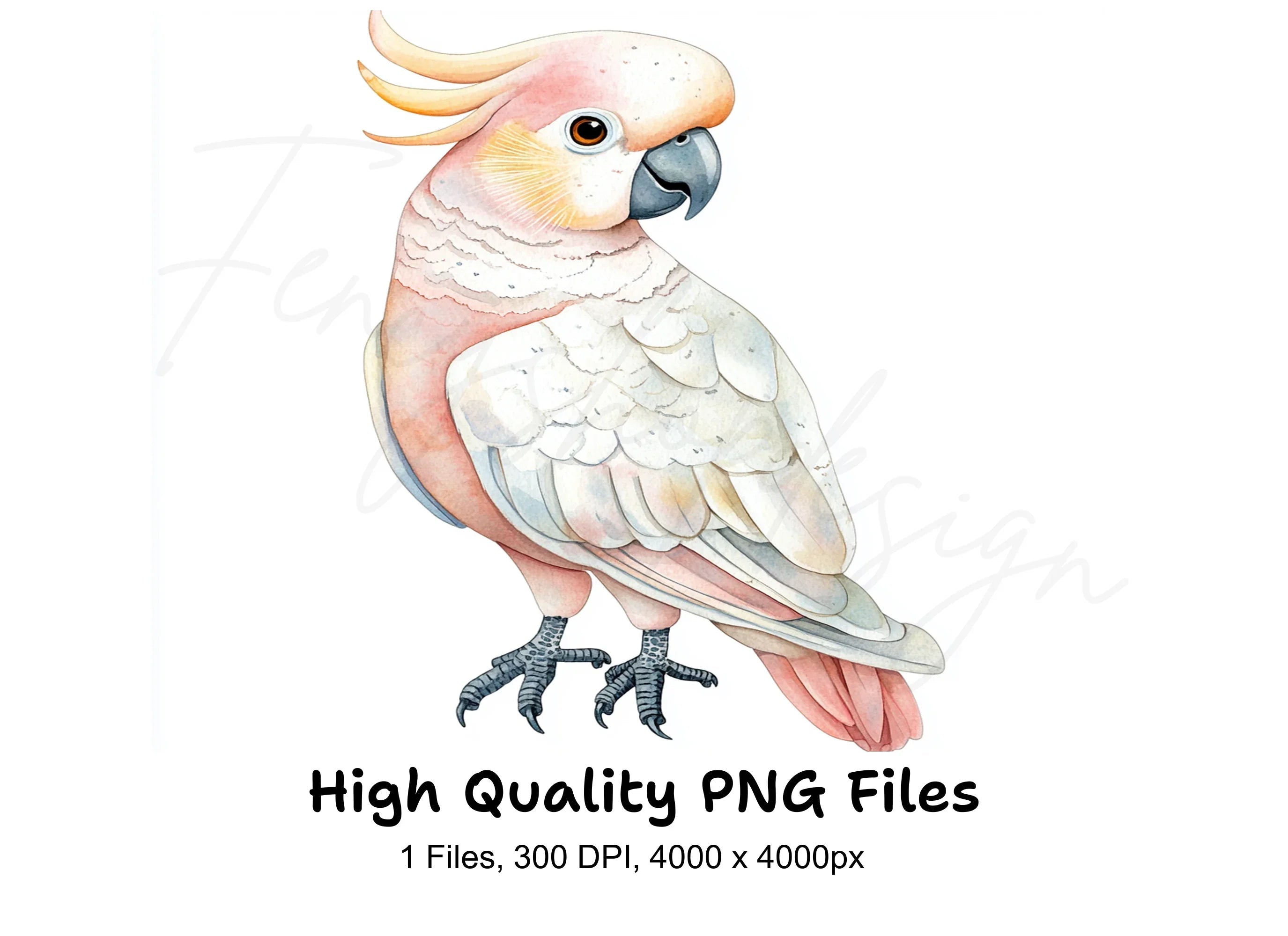 Pink and White Cockatoo Clipart Bundle