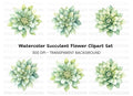 Succulent Clipart Bundle
