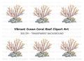 Beautiful Coral Clipart Bundle