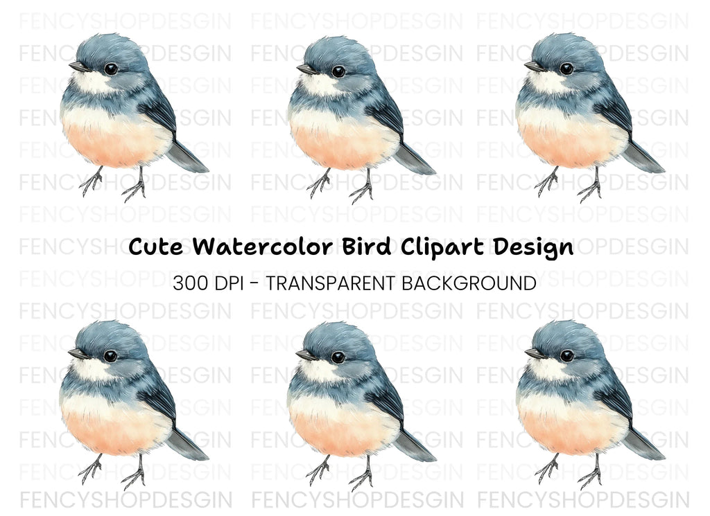 Cute Bird Clipart Bundle