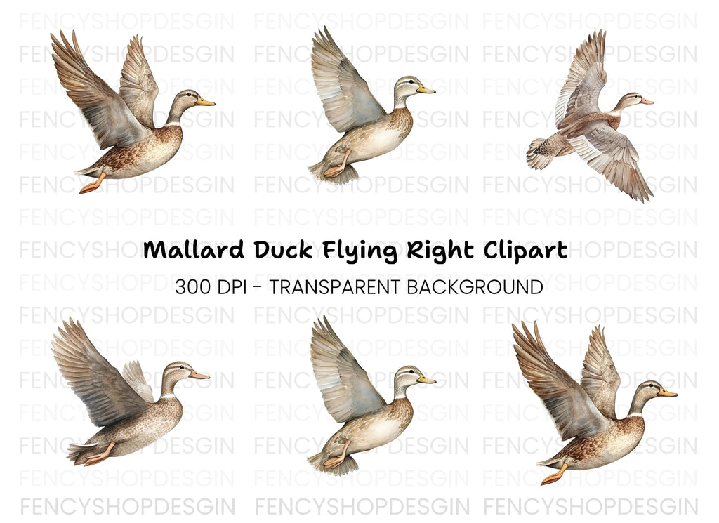 Flying Mallard Duck Clipart Bundle