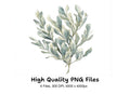Eucalyptus and Sage Green Leaf Clipart Bundle