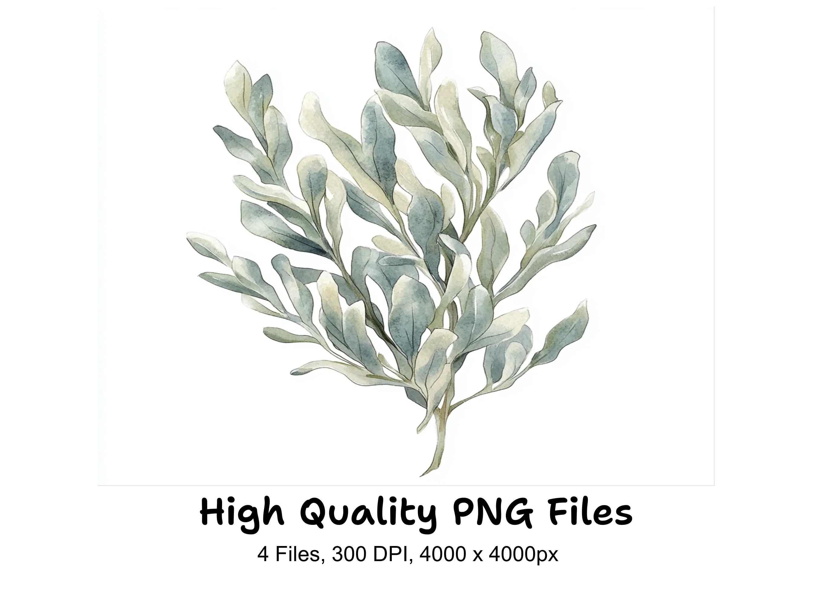 Eucalyptus and Sage Green Leaf Clipart Bundle