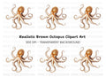 Realistic Octopus Clipart Bundle