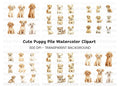 Golden Retriever Puppy Clipart Bundle