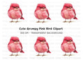 Cute Pink Bird Illustration Clipart Bundle