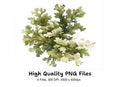Earthy Green Foliage Clipart Bundle