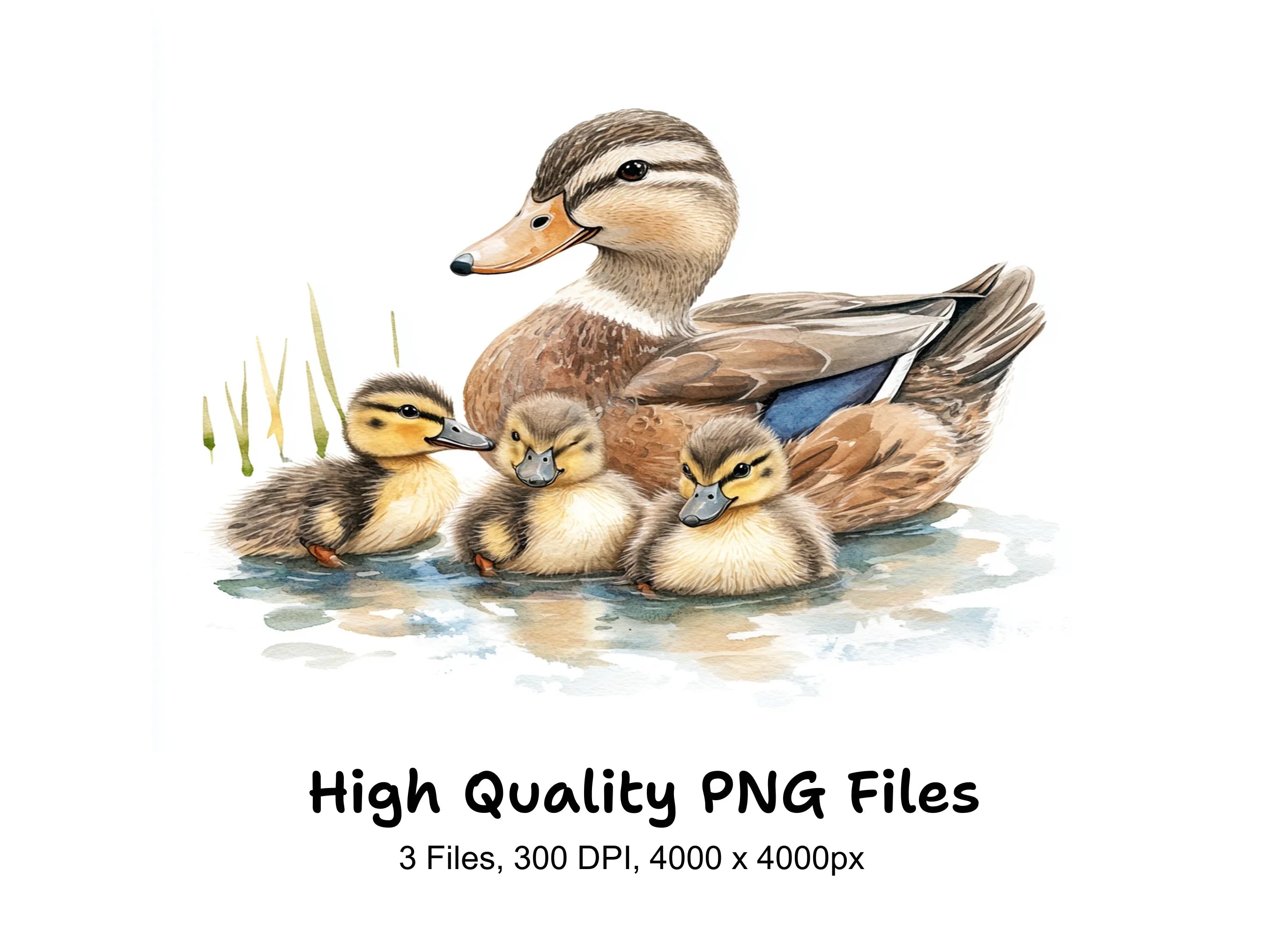 Duck and Duckling Clipart Bundle