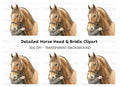Majestic Horse Head Clipart Bundle