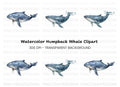 Blue Whale Clipart Bundle