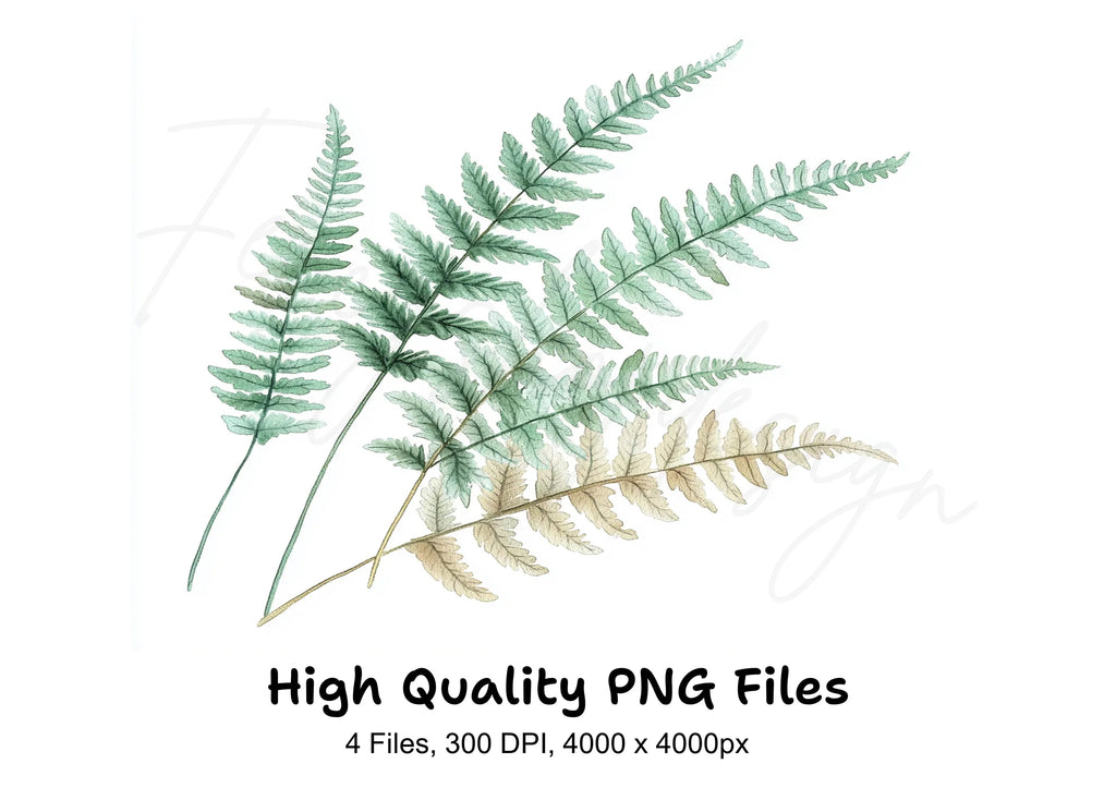 Fern Leaves Clipart Bundle