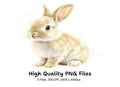 Cute Baby Bunny Clipart Bundle