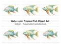 Vibrant Fish Clipart Bundle