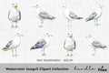 Seagull Clipart Bundle