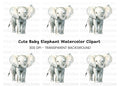Cute Baby Elephant Clipart Bundle