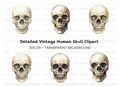 Human Skull Clipart Bundle
