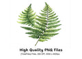 Green Fern Foliage Clipart Bundle