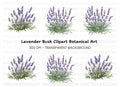Lavender Bush Designs Clipart Bundle