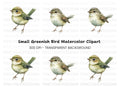 Cute Bird Clipart Bundle