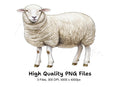 Sheep Illustrations Clipart Bundle