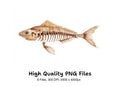 Fish Skeleton Clipart Bundle