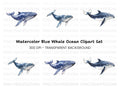 Whale Clipart Bundle for Creative Projects