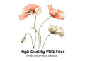 Poppy Clipart Bundle