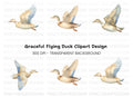 Flying White Ducks Clipart Bundle