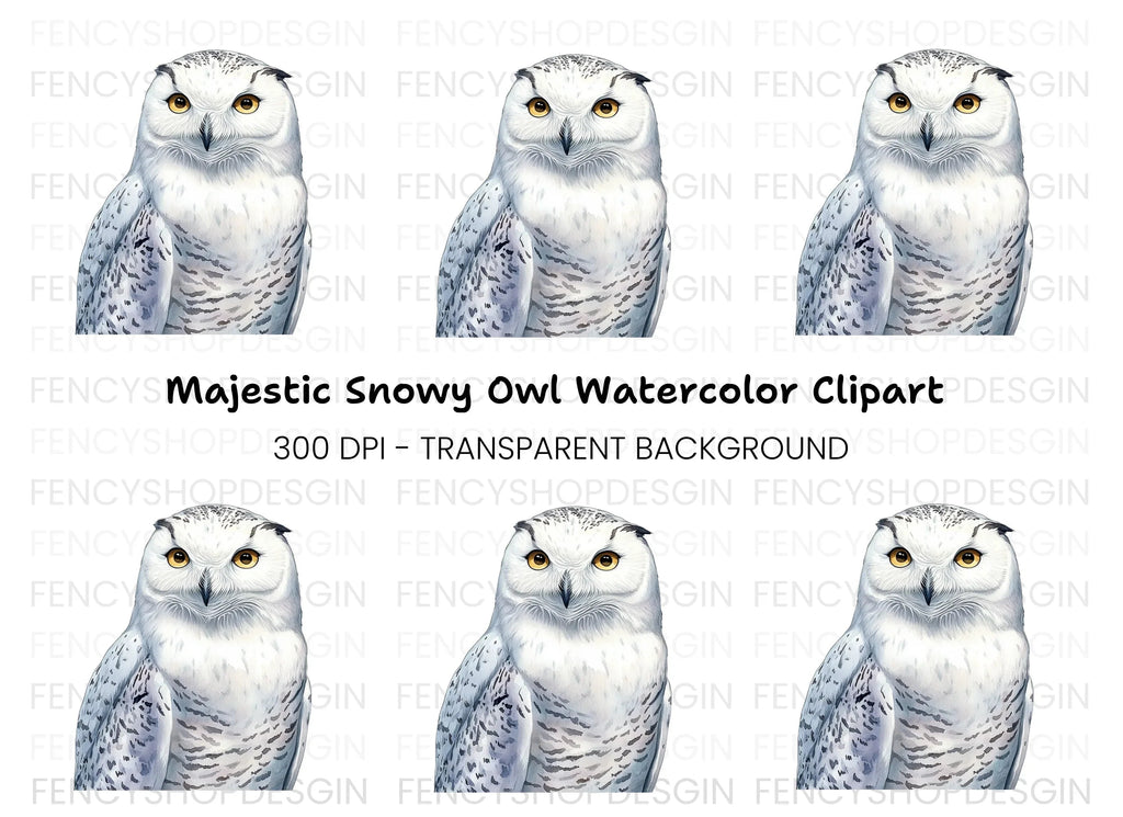 Majestic Snowy Owl Illustration Clipart Bundle