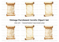 Vintage Scroll Clipart Bundle